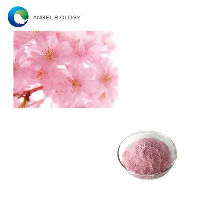 India’s Demand Surge for Sakura Extract Powder in Brightening Products
